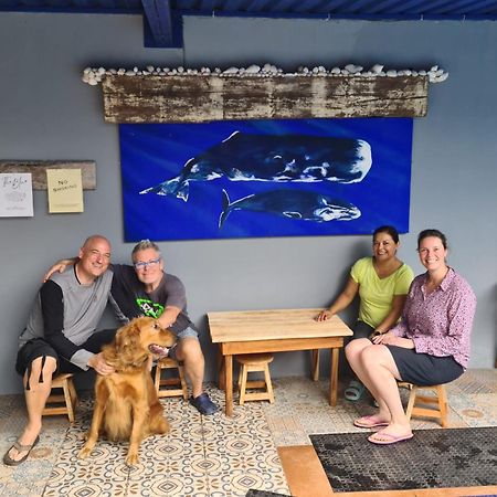 The Blue Eco Lodge Tikuch المظهر الخارجي الصورة